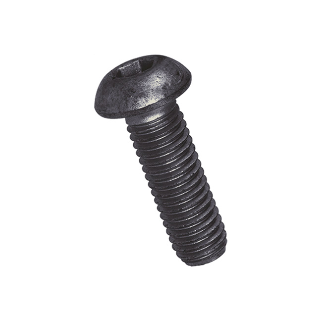 M 2 x 4 Schrauben Linsenkopf mit Innensechskant