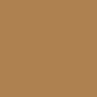 Farben Acryl  RAL 1011 Braunbeige