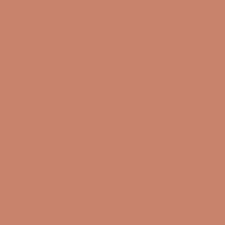 Farben Acryl  RAL 3012 Beigerot
