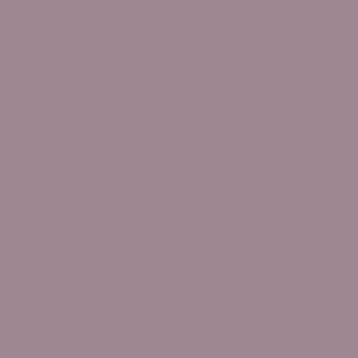Farben Acryl  RAL 4009 Pastellviolett