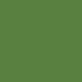 Farben Acryl  RAL 6017 Maigrün