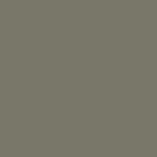 Farben Acryl  RAL 7003 Moosgrau