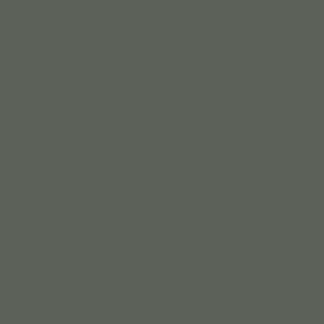 Farben Acryl  RAL 7009 Grüngrau