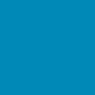 Vollton-Acryl-Farbe RAL 5012 Lichtblau 5 Kg