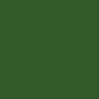 Vollton-Acryl-Farbe RAL 6002 Laubgrün 5 Kg